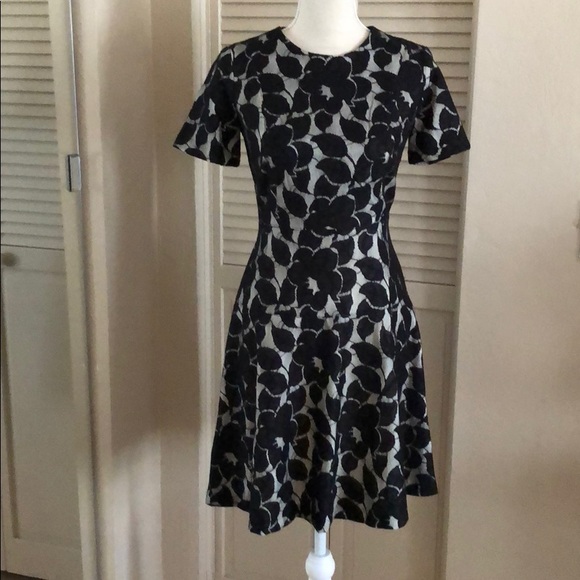 Ann Taylor Dresses & Skirts - Ann Talylor lace dress size 0
